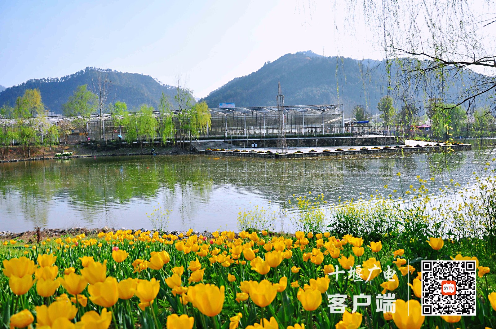 微信图片_202103161544021