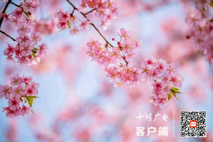 微信图片_20210319161214_副本