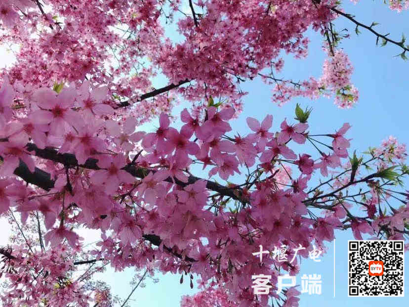 微信图片_20210319161211_副本