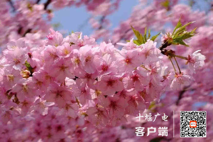 微信图片_20210319161206_副本