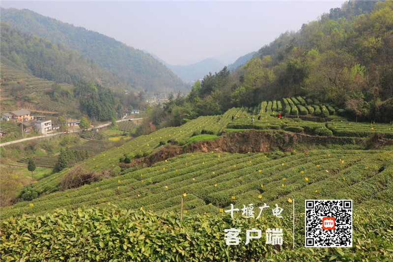 A8DC6E2CEF0DB0F04C6D9BF8773B4319_750_750_副本