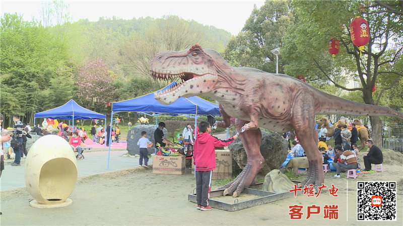 Still1201_00002 (1)_副本