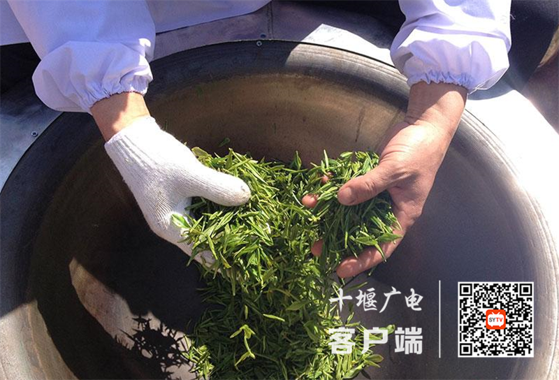 QQ截图20210330175120_副本