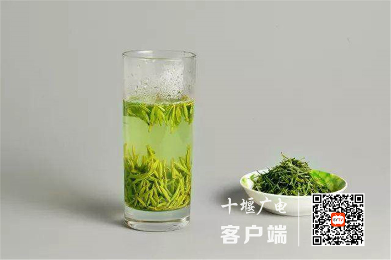 微信图片_20210330175528_副本