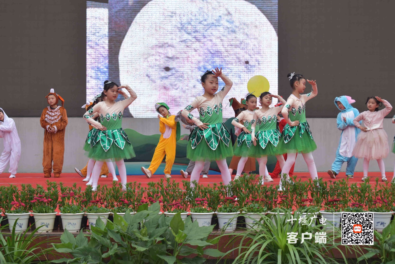 微信图片_20210331111520_副本
