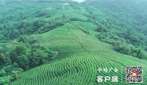 360截图20210331202608197_副本