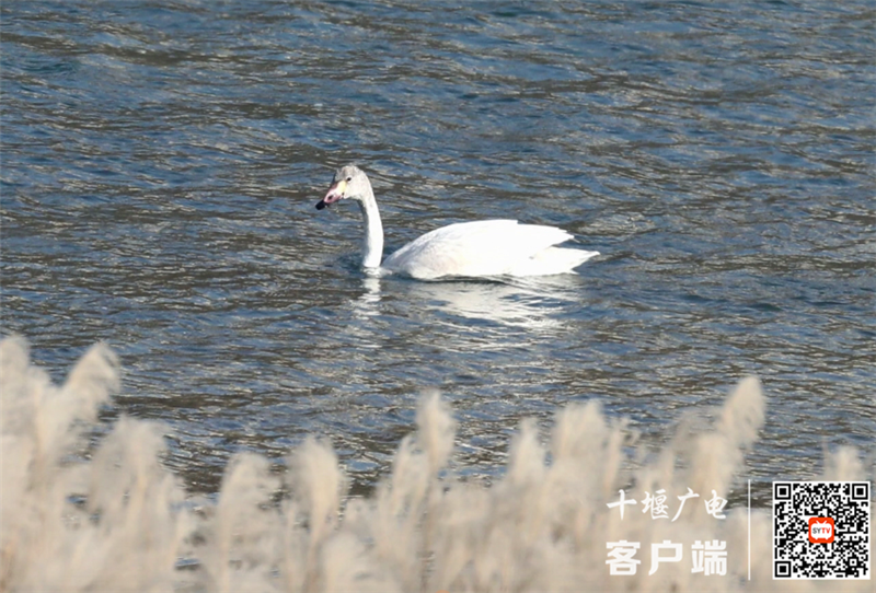 QQ图片20210401165512_副本