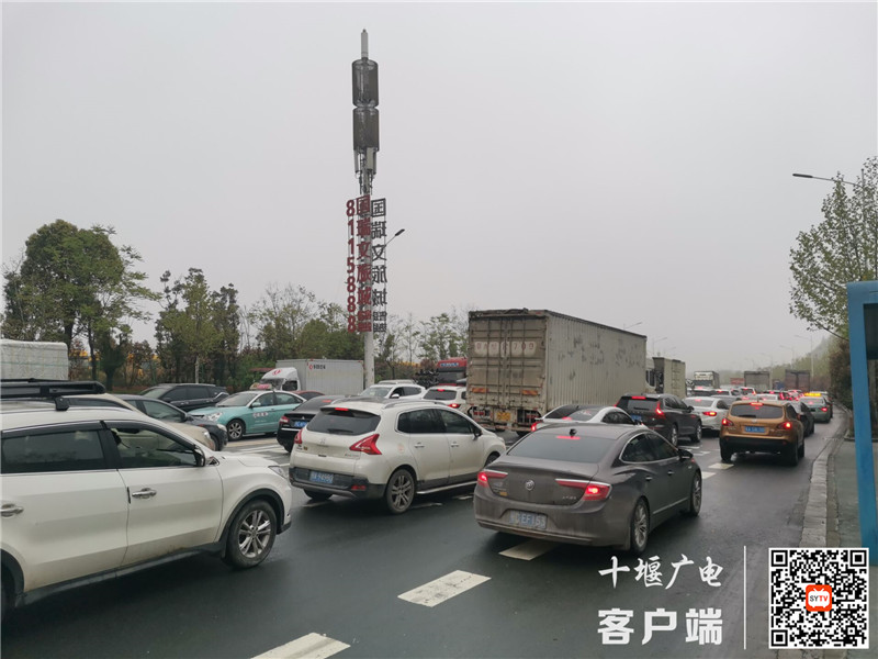 QQ图片20210403093324_副本