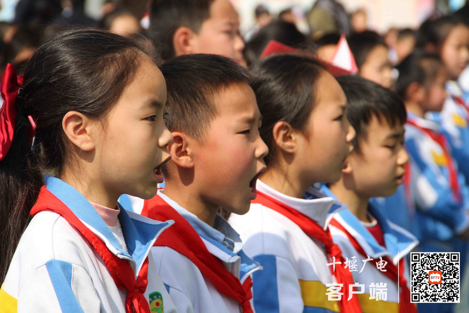微信图片_20210412160200_副本