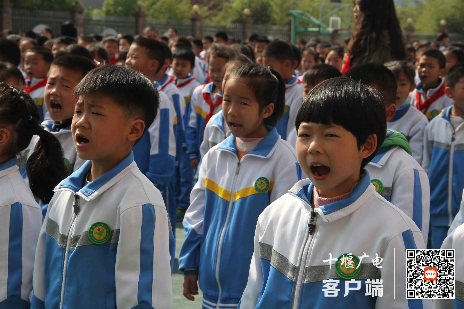 微信图片_20210412160204_副本