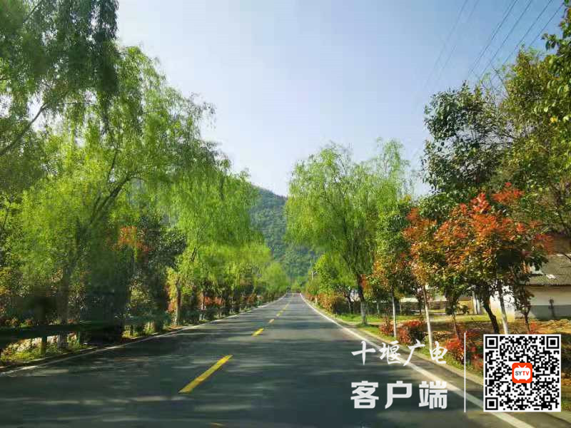 3_副本_副本