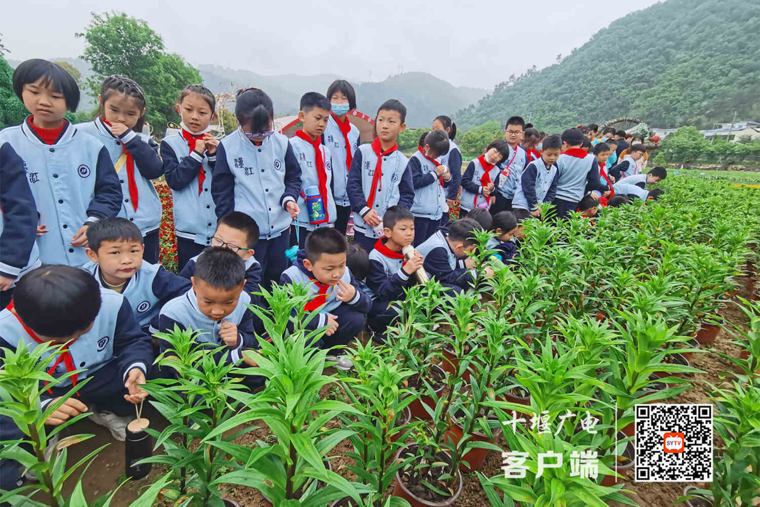微信图片_20210415192419_副本