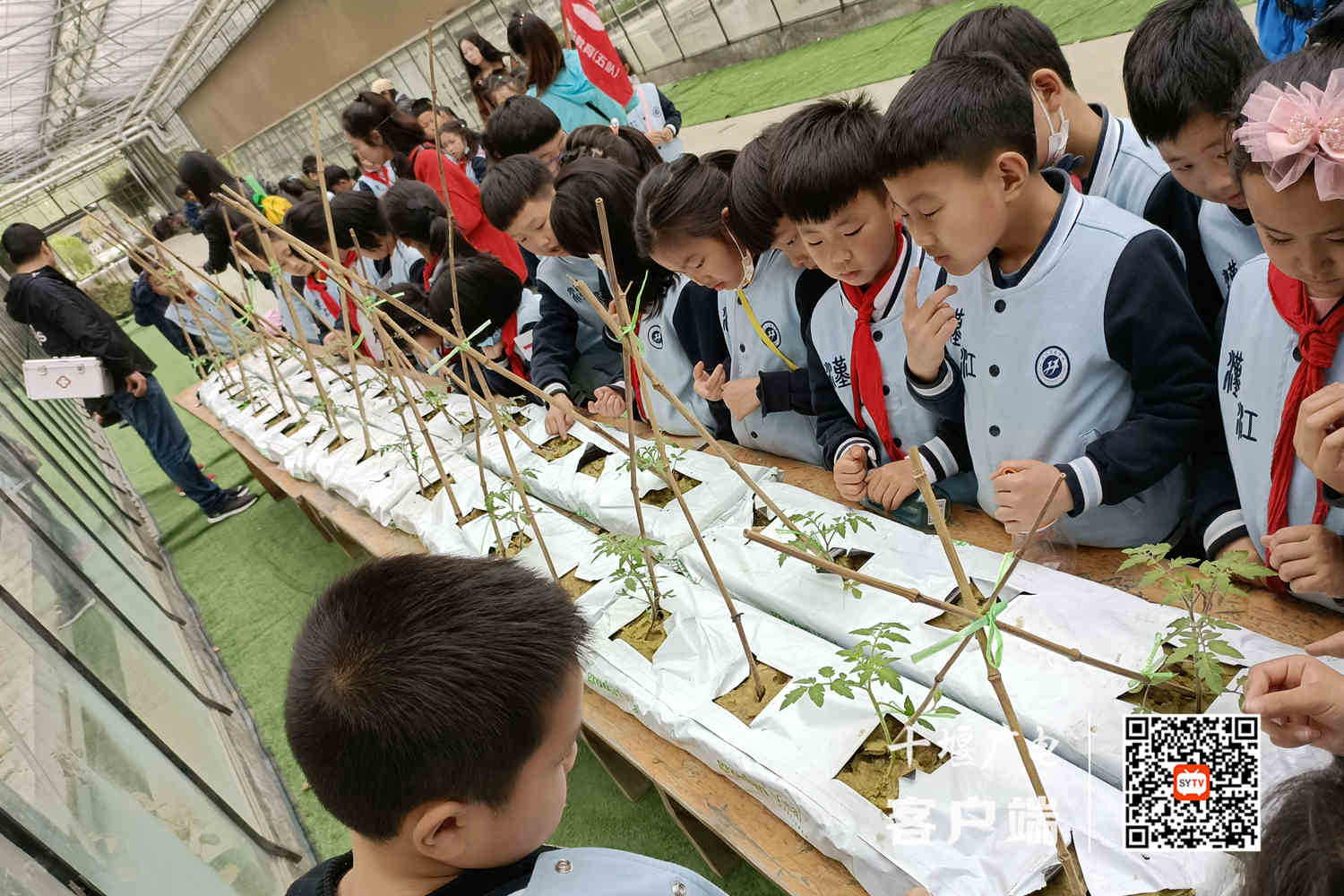 微信图片_20210415192422_副本