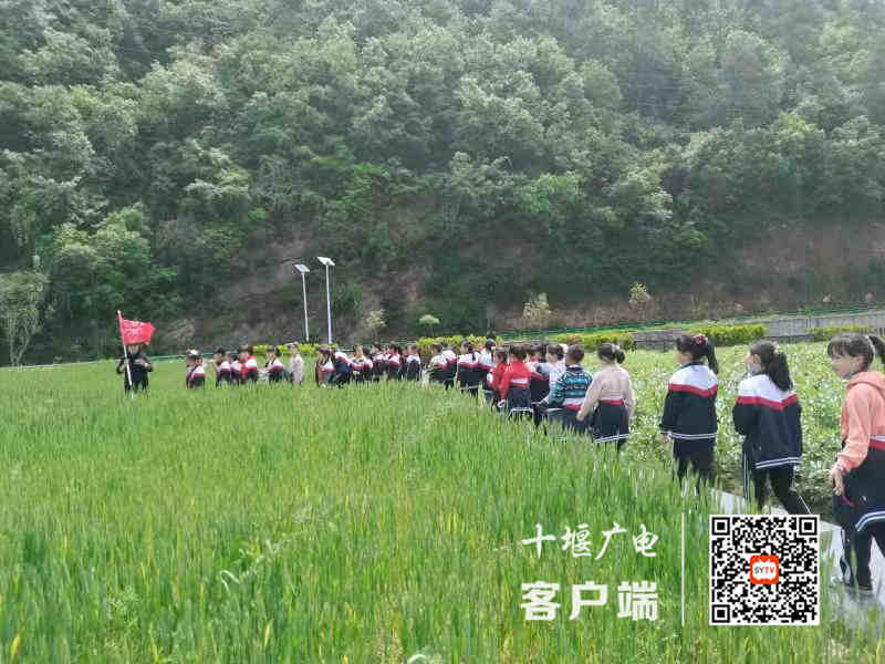 微信图片_20210417003228_副本