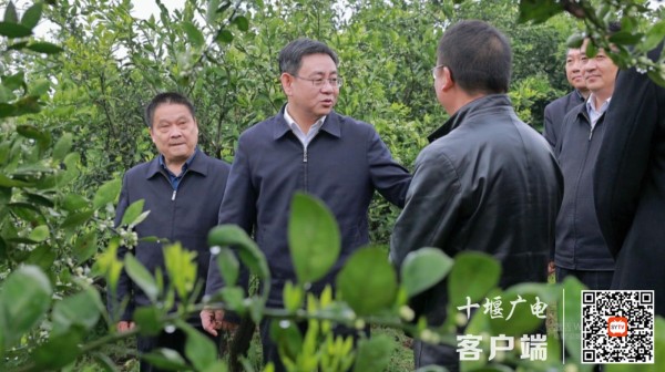 360截图20210421083708556_副本