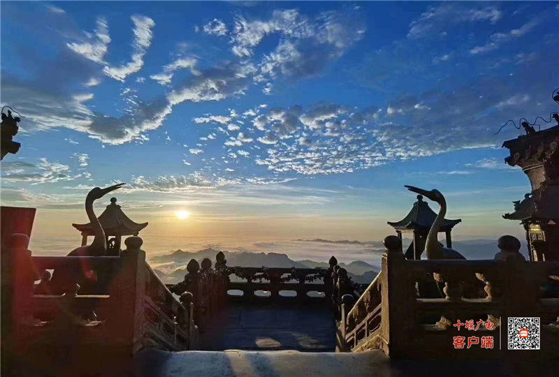 微信图片_20210426102522