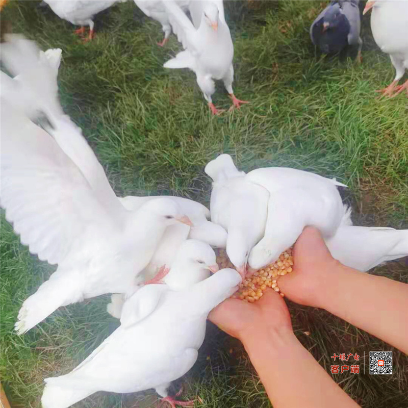 微信图片_20210427190124