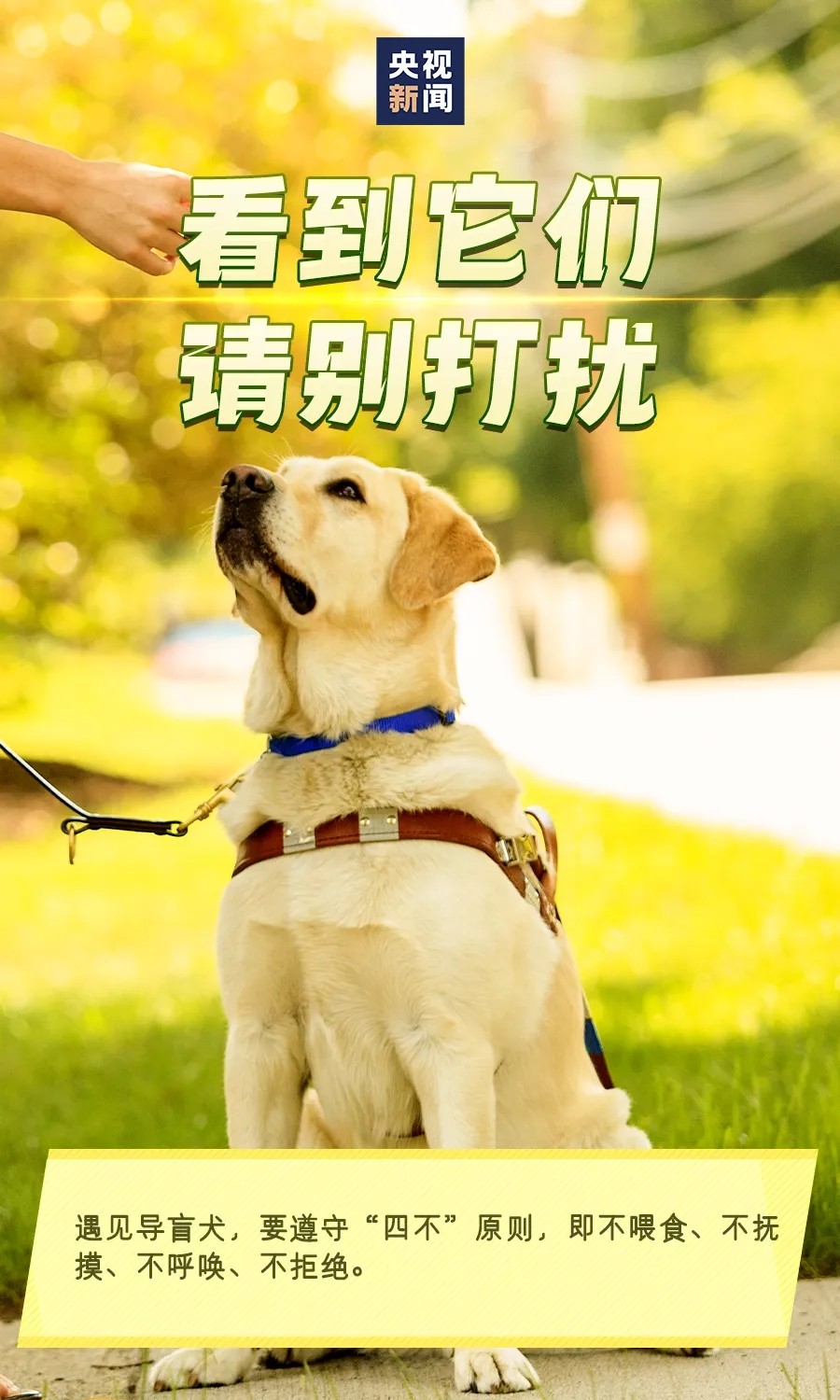 640.webp (9)