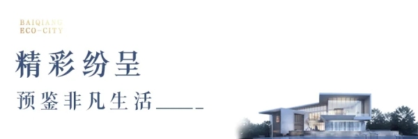 640.webp (3)