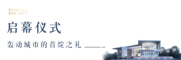 640.webp (6)