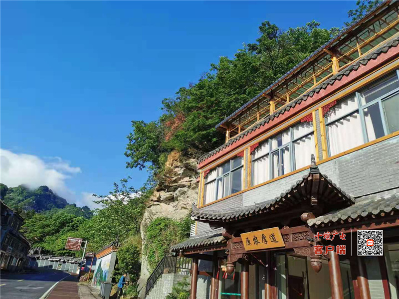 图片3
