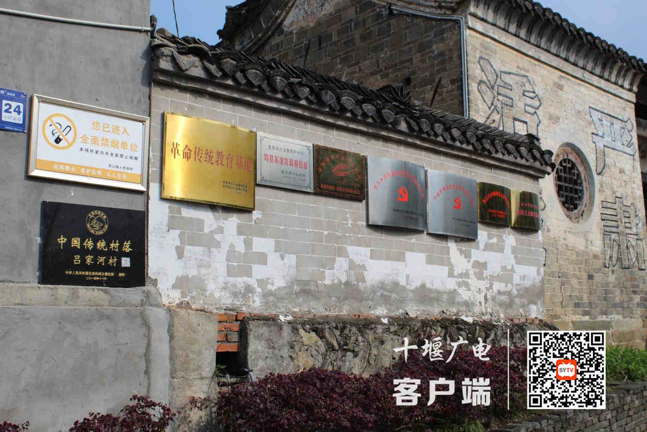 图片13_副本