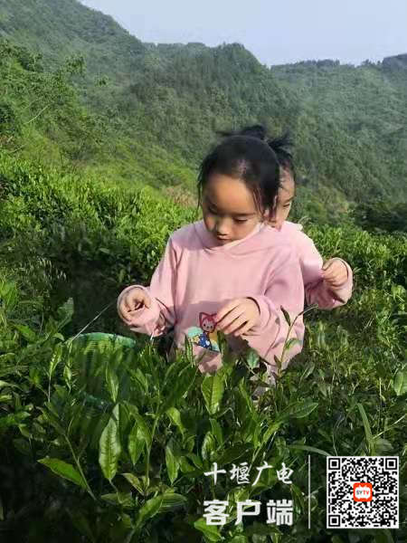 微信图片_20210506164449_副本