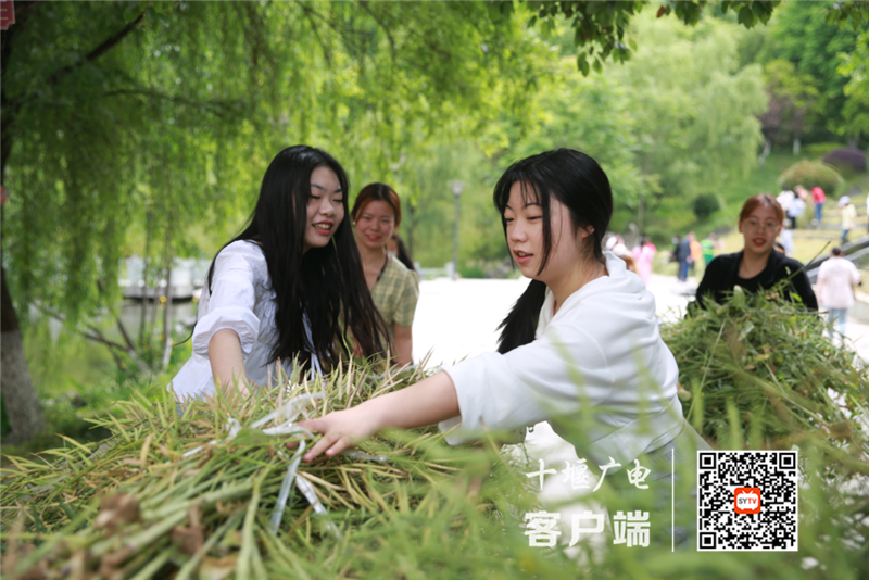 QQ截图20210509134923_副本