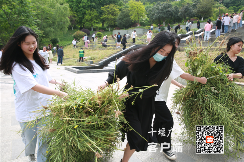 QQ截图20210509134913_副本