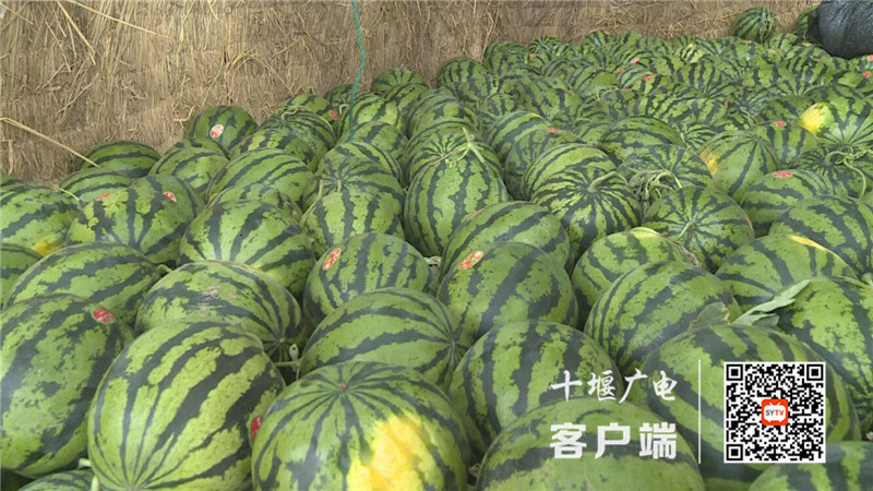 73F2E674BC359603AC250F97BBE59A6A_750_750_副本