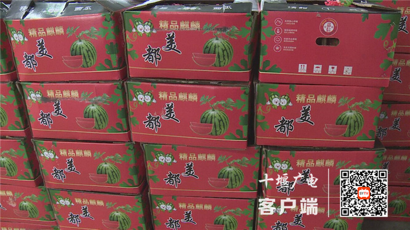 033E529E9C6A1F95BE9578FAB0842D91_750_750_副本