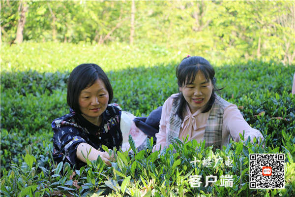 微信图片_20210510213644_副本