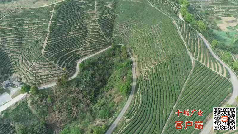 微信图片_20210511171525