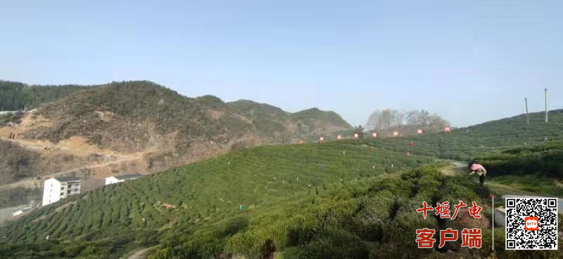 微信图片_20210511171528