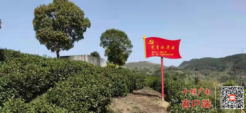 微信图片_20210511171531