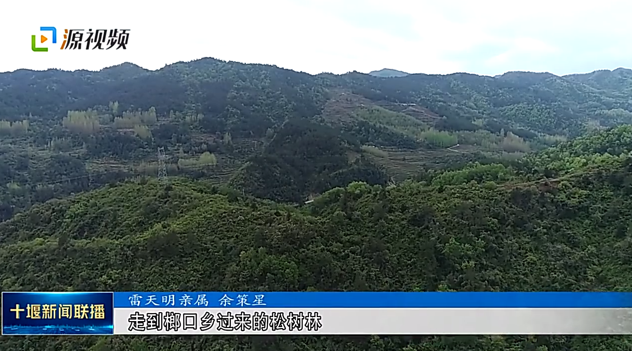 QQ截图20210514200514