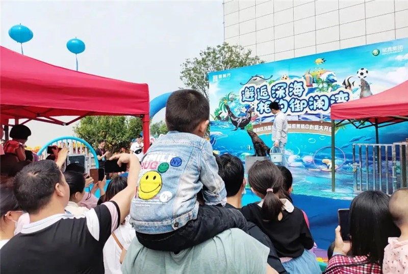 640.webp (12)_副本