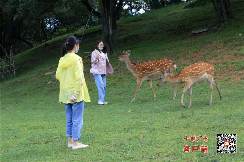 微信图片_20210524112827