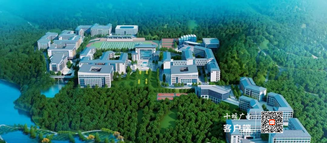 图片3_副本