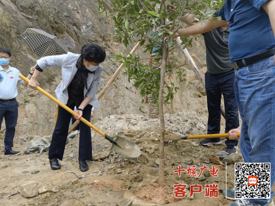 QQ图片20210525170914_副本