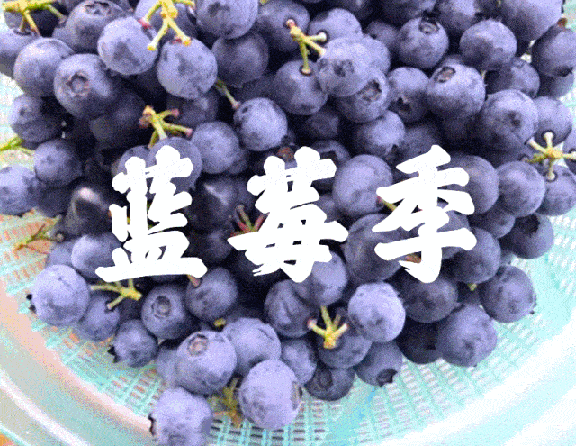 微信图片_20210529175806