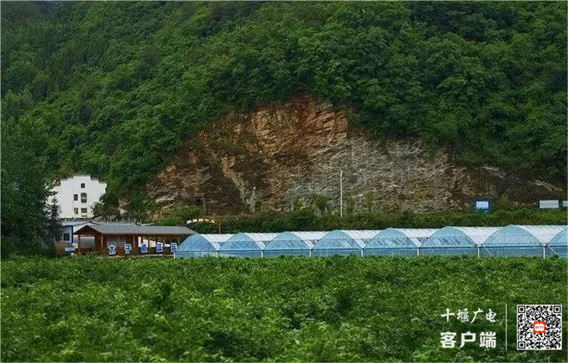 微信图片_20210529175707_副本