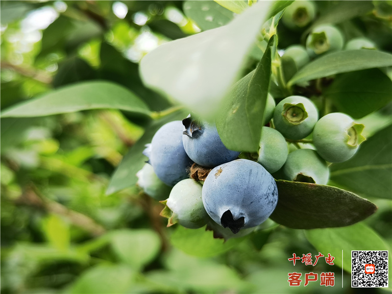 微信图片_20210529182224