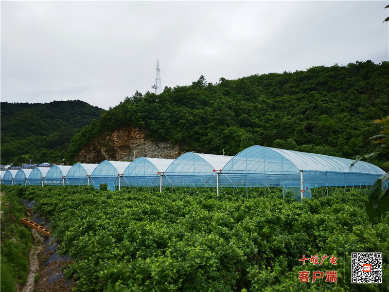 微信图片_20210529182235
