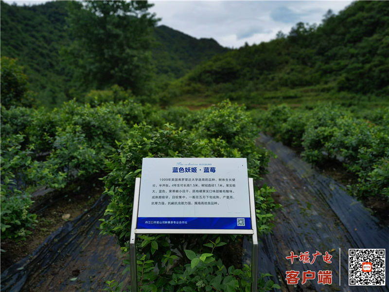 微信图片_20210529182227