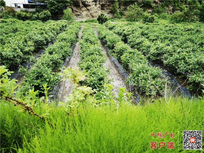 微信图片_20210529183253