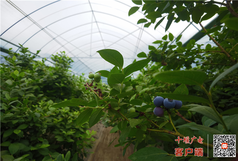 微信图片_20210529183303