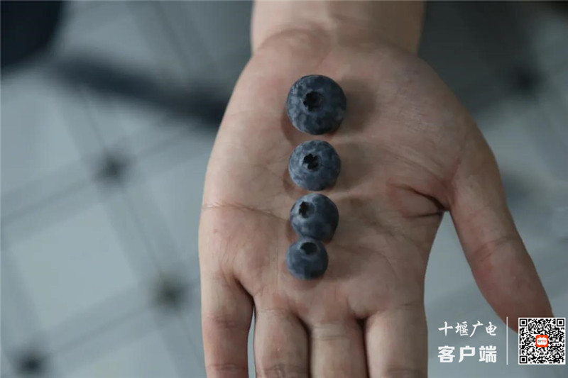 微信图片_20210529181211_副本