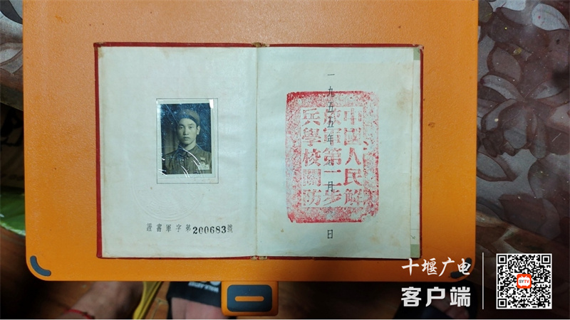 图片3