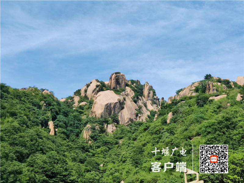 微信图片_20210601133945_副本